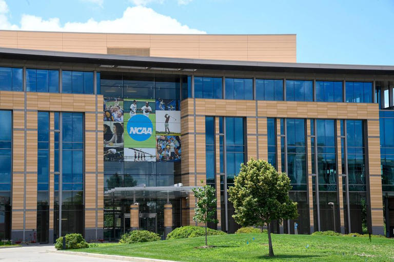Man pleads guilty to helping fix NCAA men’s basketball games