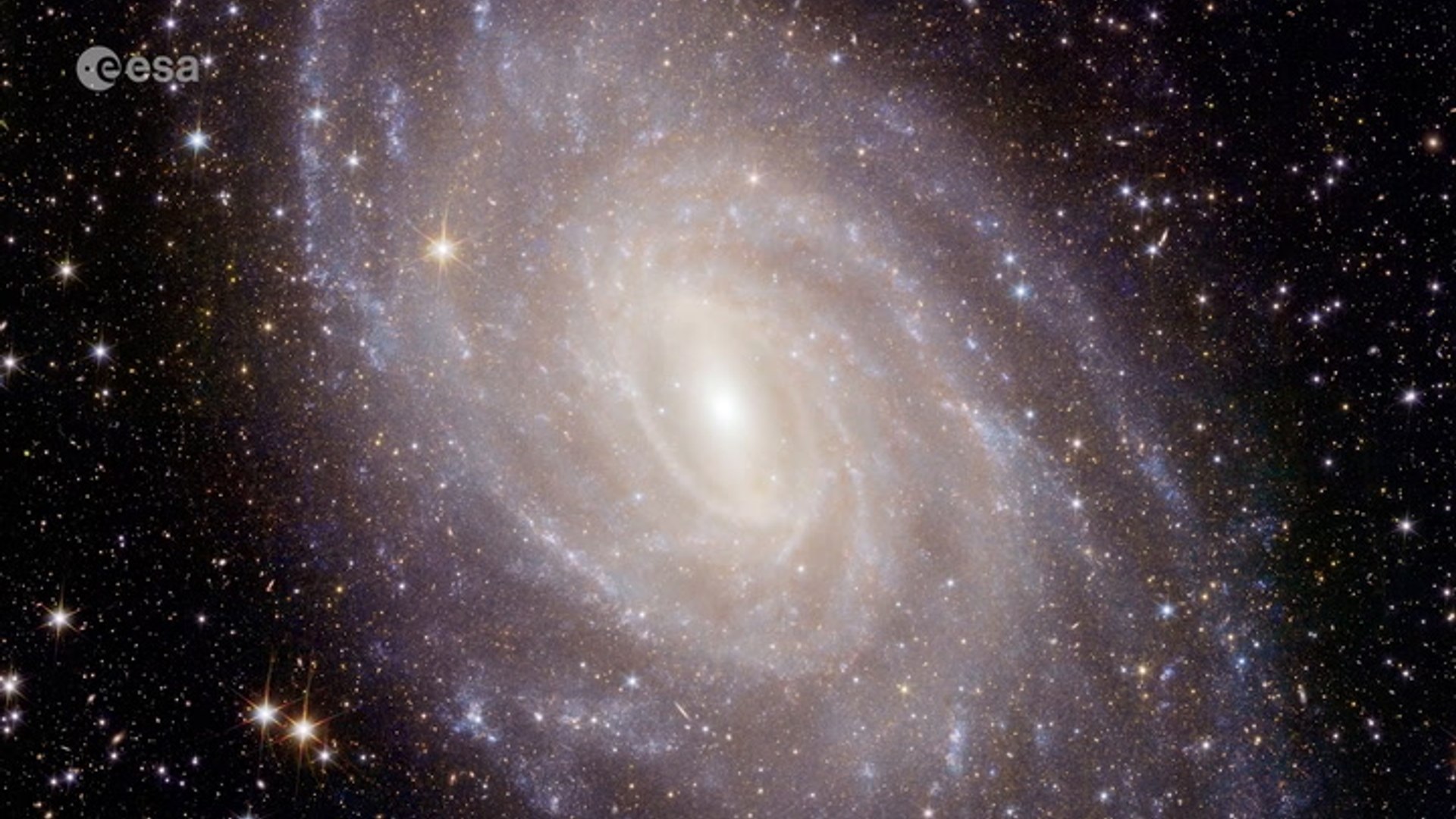 Euclid dark universe detector delivers 'spectacular views of the cosmos'