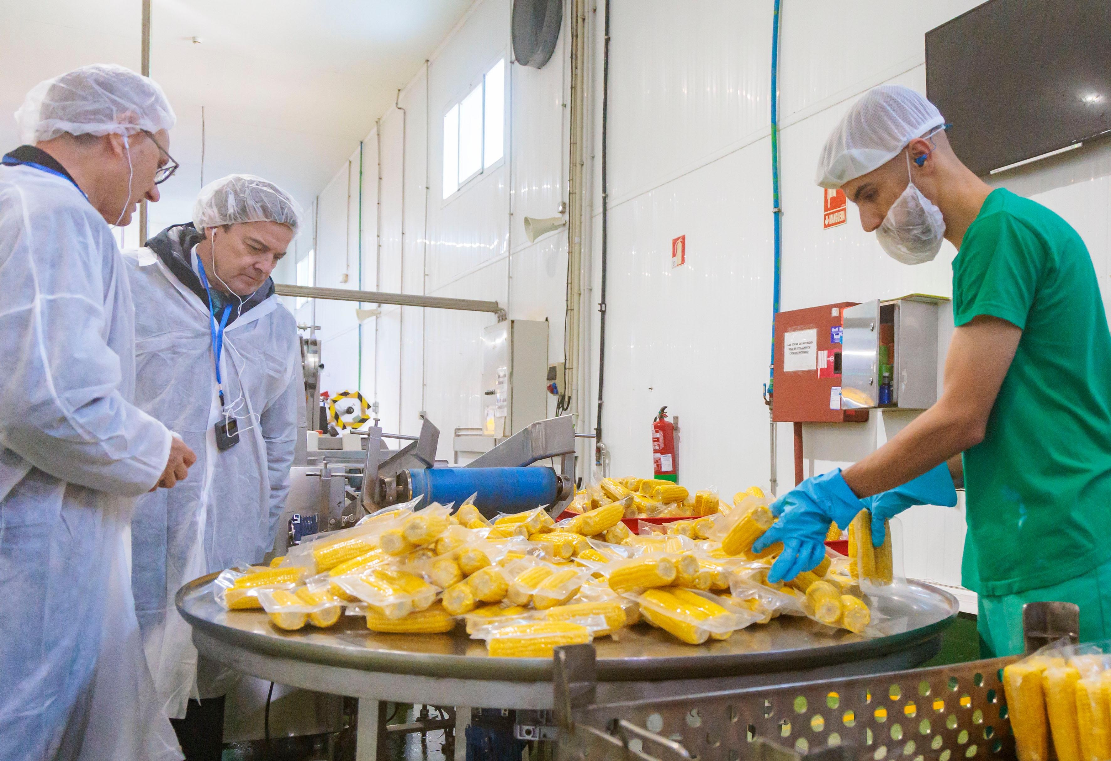 Huercasa invierte 25 millones en una nueva fábrica de procesado de maíz ...