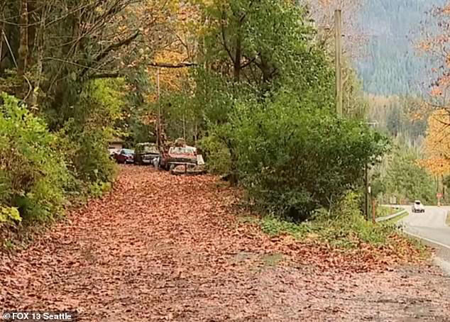 Dog walker badly injured after being pushed to the ground by mother ...