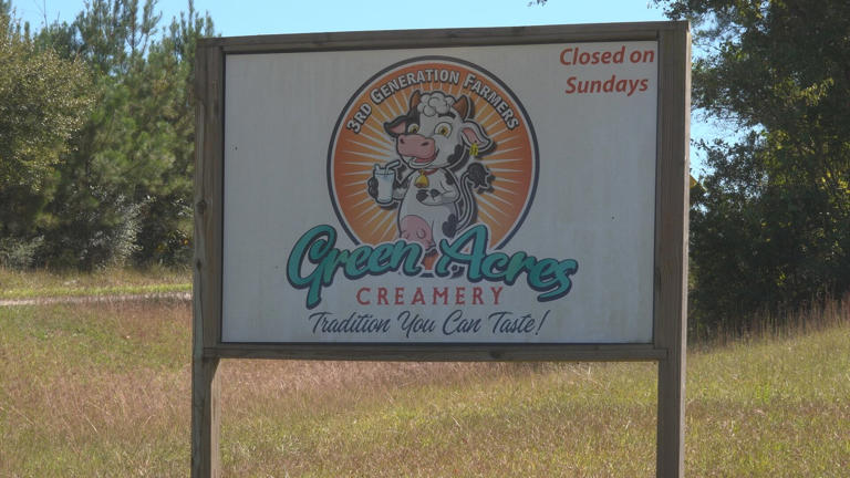 Coast life: Fall fun & farm lessons come to life at Green Acres Creamery