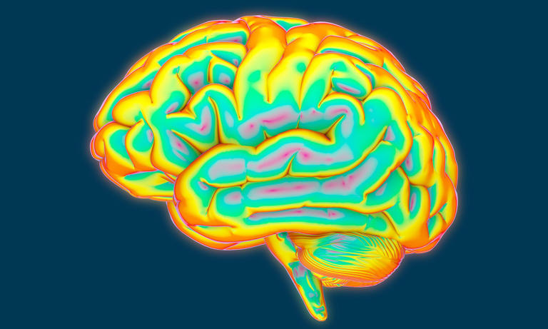Drugs that cool brain can save patients before they reach A&E