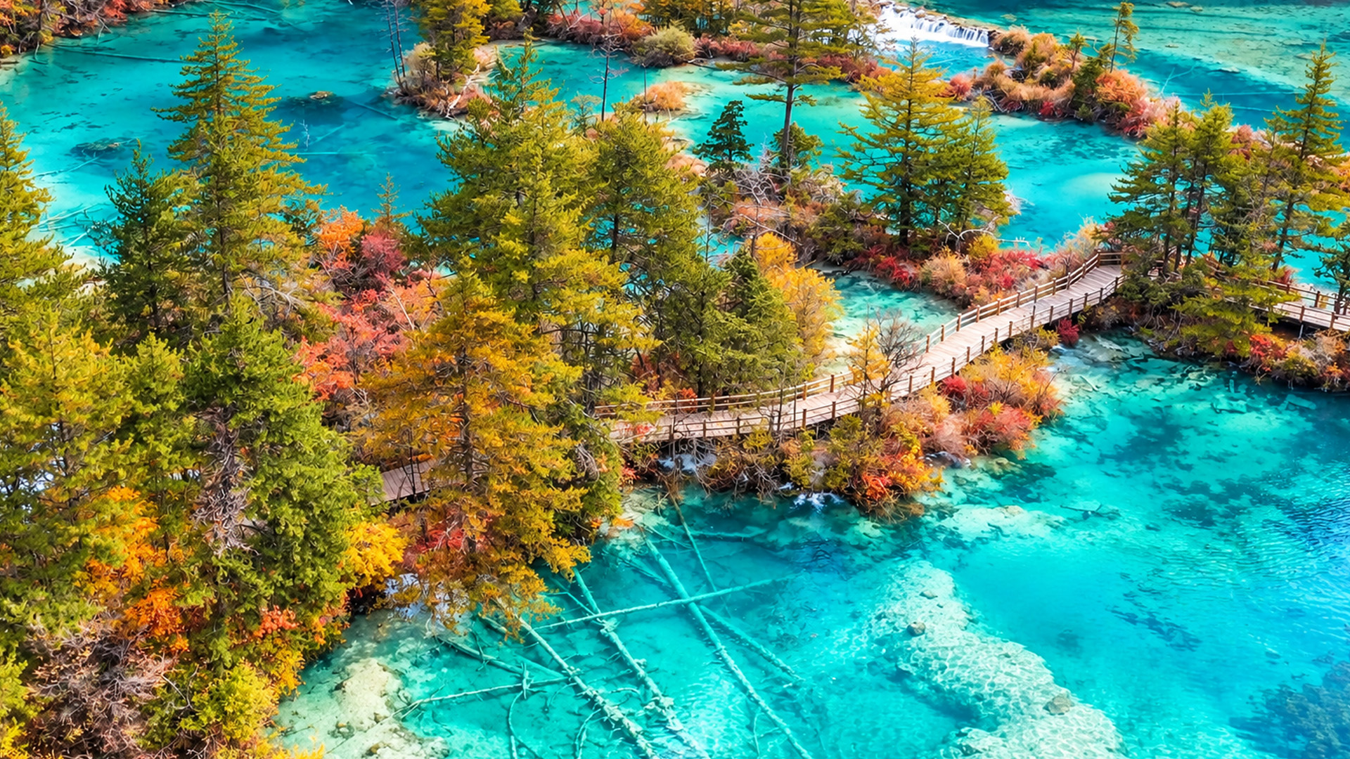 Can you see the fallen trees underwater?