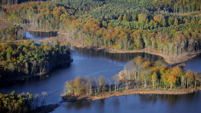 Germany's national park treasure ideal for outdoor fun is part of the ...