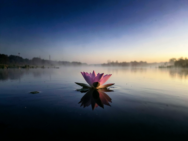 The ten Mahavidyas and the widow goddess Hindu tradition made space for