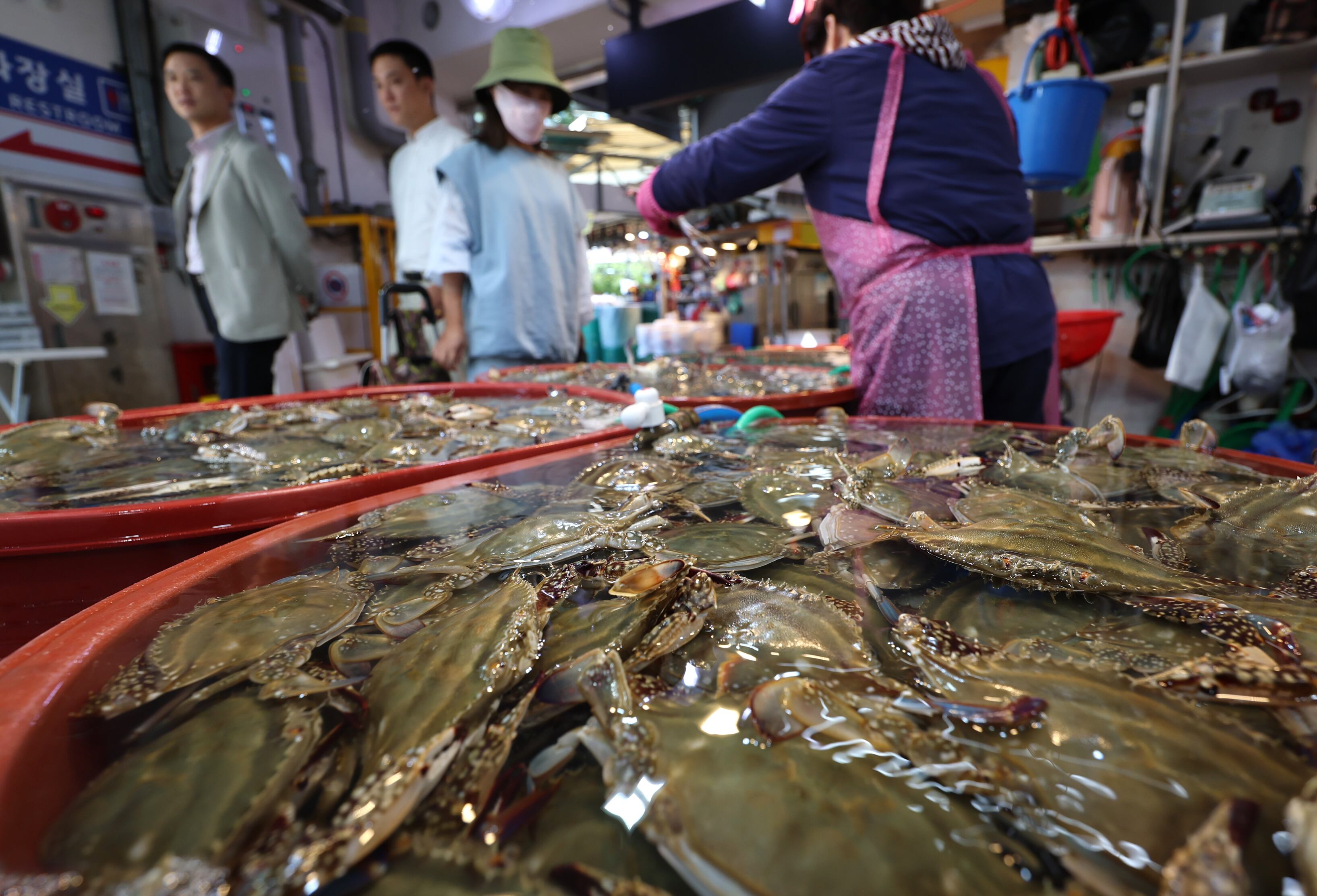 West Sea flower crab prices nearly double as catches decline