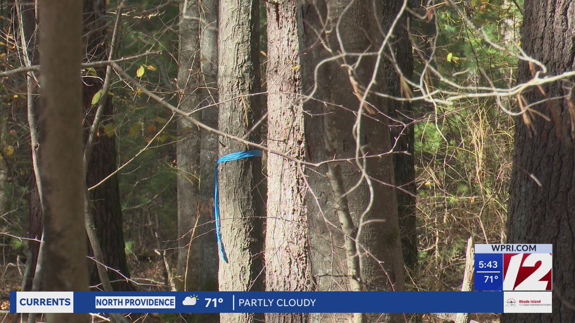 DEM to thin Arcadia Management Area of diseased trees