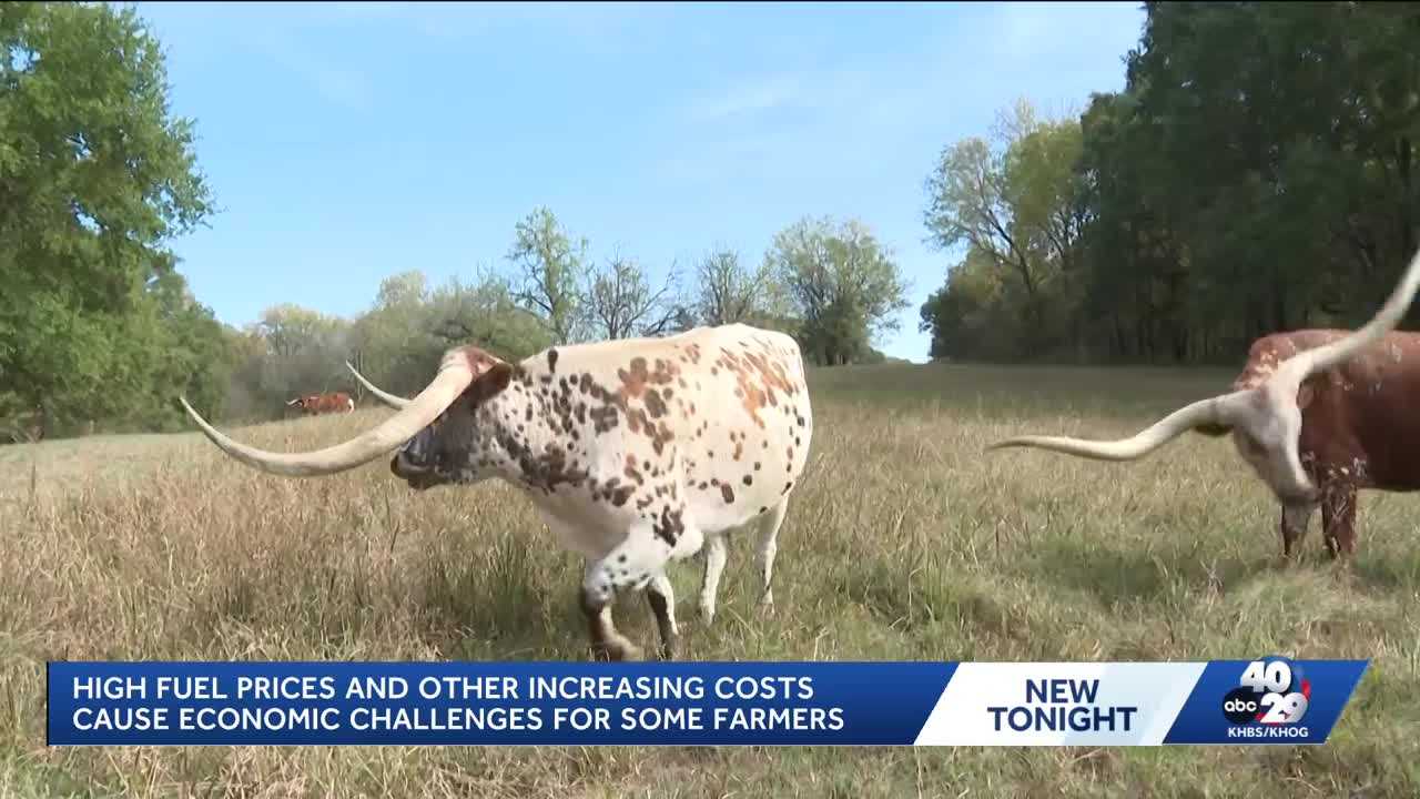Rising costs, dry weather challenge Arkansas cattle farm