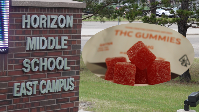 Judge denies motion to suppress evidence in Moorhead THC case