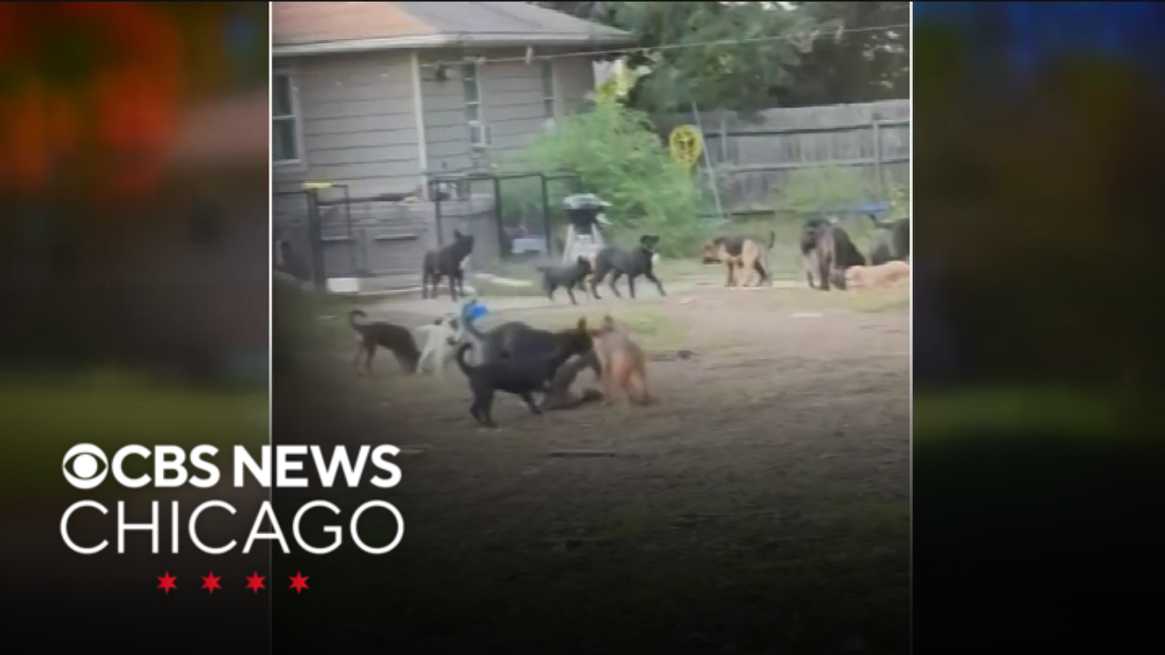 Village of Lemont to possibly create ordinance to regulate number of ...