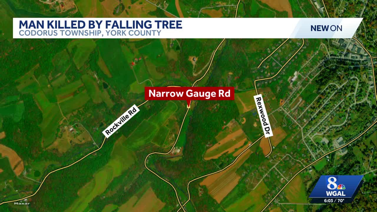 Tree falls on man | Coroner called