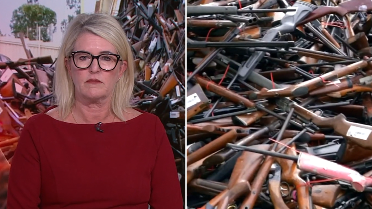 Police minister defends NSW gun buyback amid questions over illegal ...