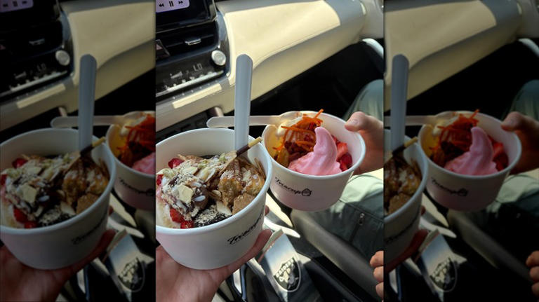 The hands down best frozen yogurt spot in every state