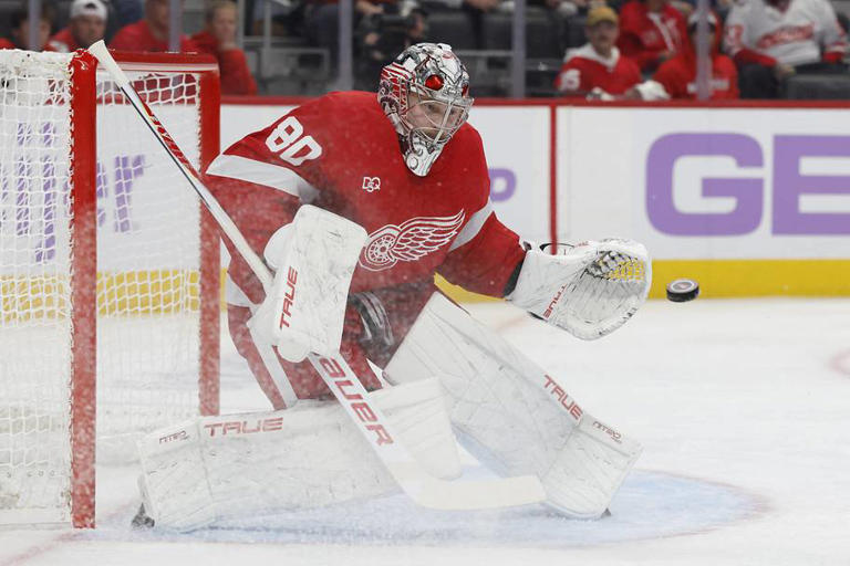 Red Wings' John Gibson faces uncomfortable reality as rookie gets the call