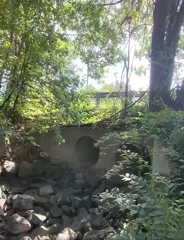 Mom describes children's terror after man who lives in sewers beneath ...