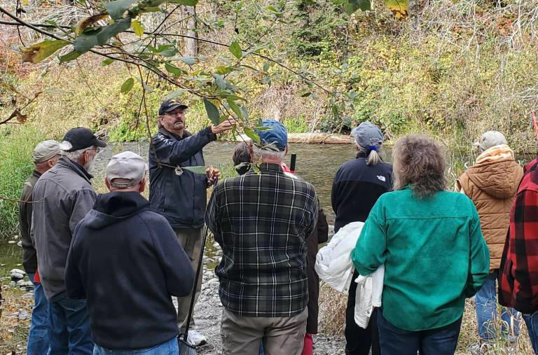 Witnessing the return of salmon at Schafer State Park