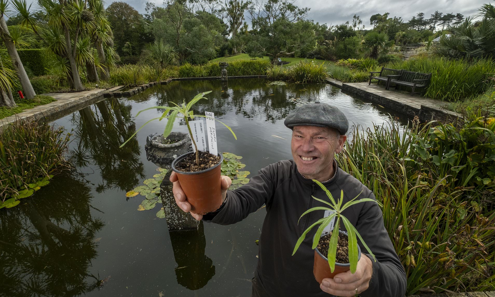 Pictured: Royal gardener who died after being hit by falling tree ...