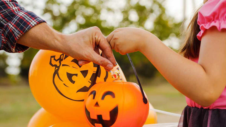 Savannah police share safety tips, suggest trick-or-treat times for ...