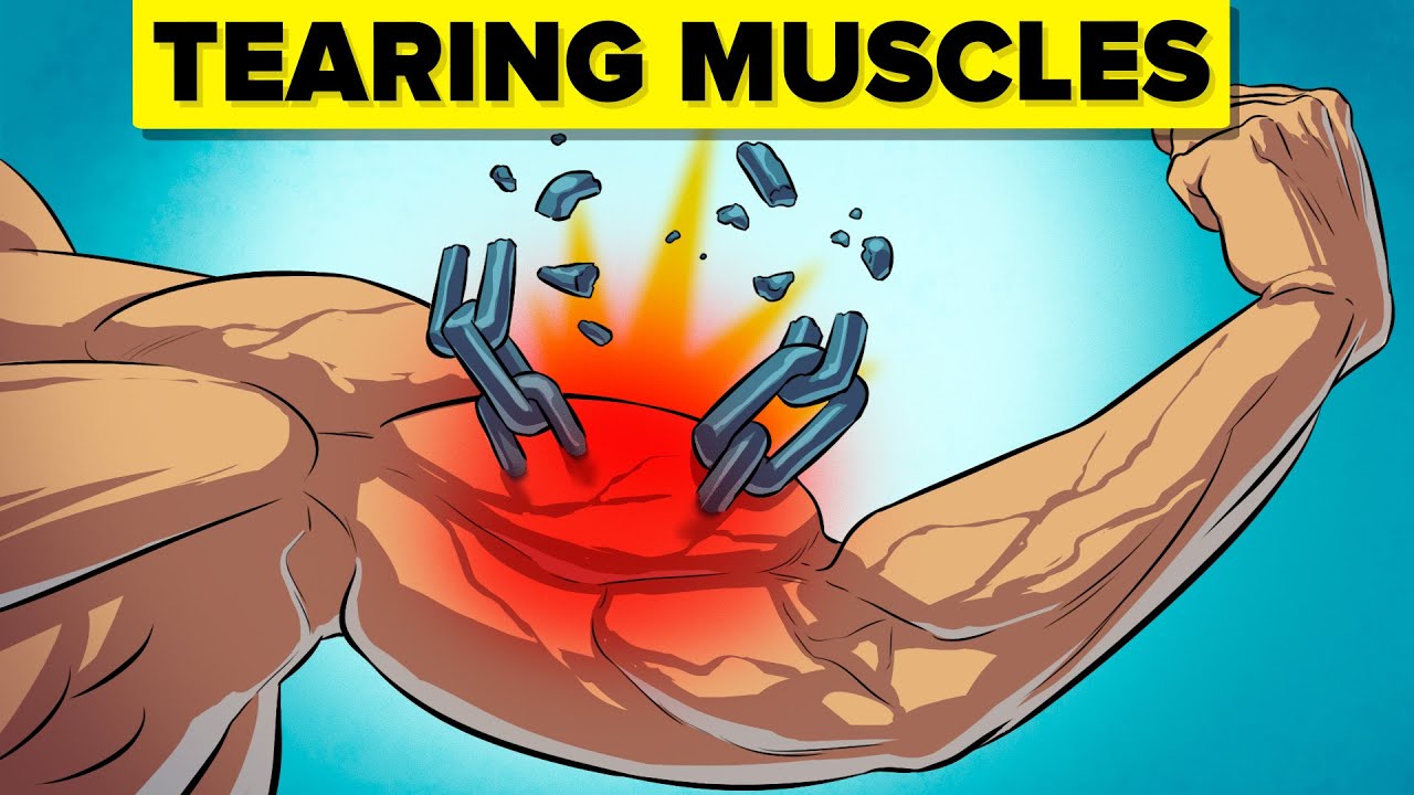 What really happens to your muscles during a workout