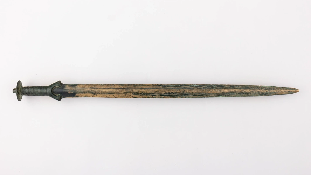 Bronze Age sword found upright in Polish forest sparks ritual theory