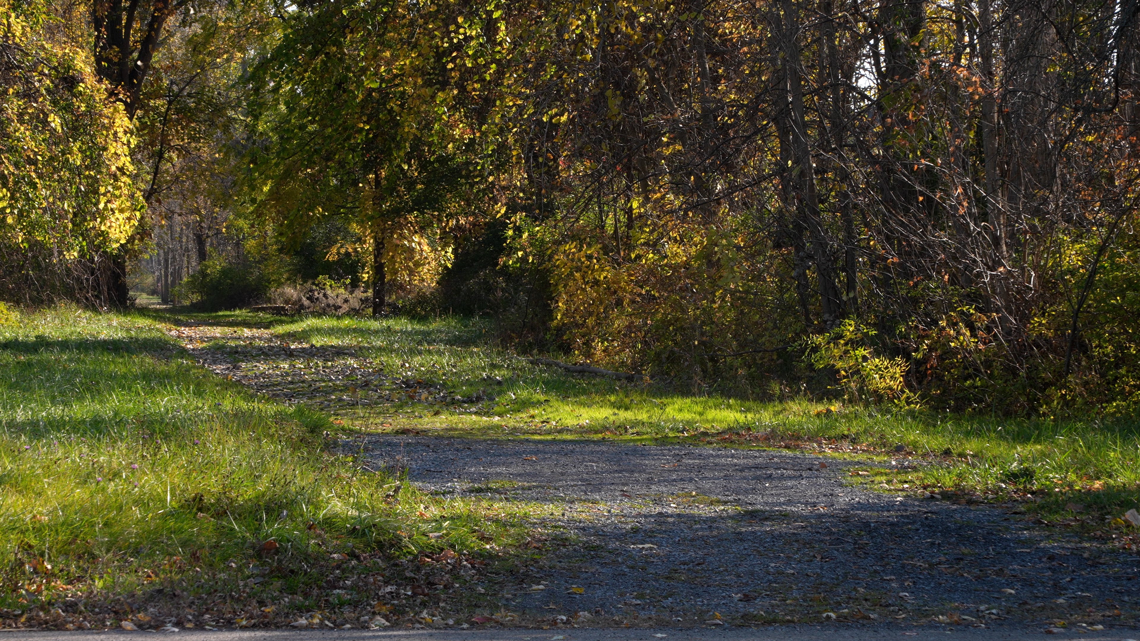 Peanut Line Trail fully funded after state adds $3.8M