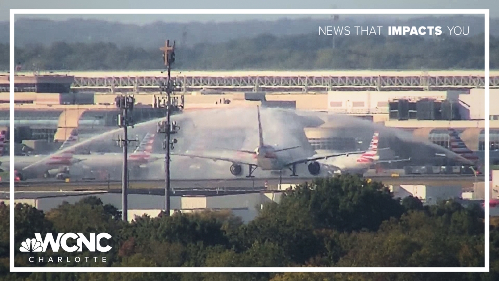 Carol Fair, American's most senior flight attendant, lands on final ...