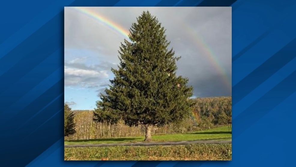 Rockefeller Center Christmas tree to come from upstate NY again