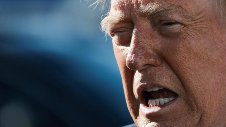 Midterms 2026 : Trump promet 1 million de dollars à quiconque prouve ...