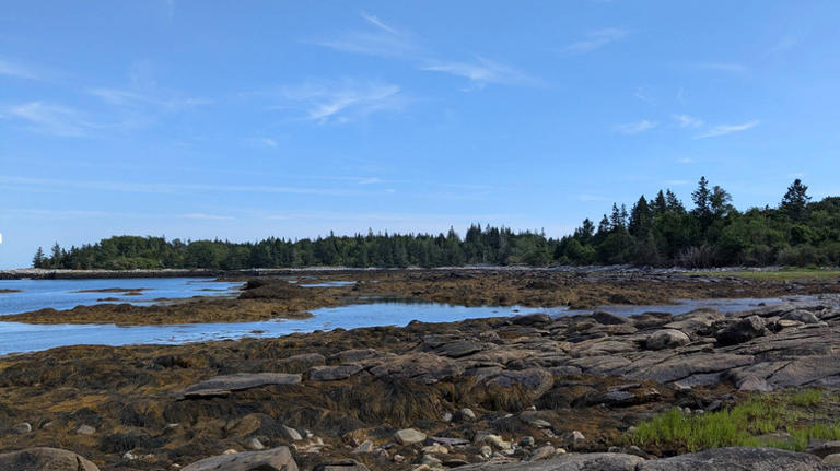 Forget Cape Cod, this town is a less-crowded destination for fresh ...