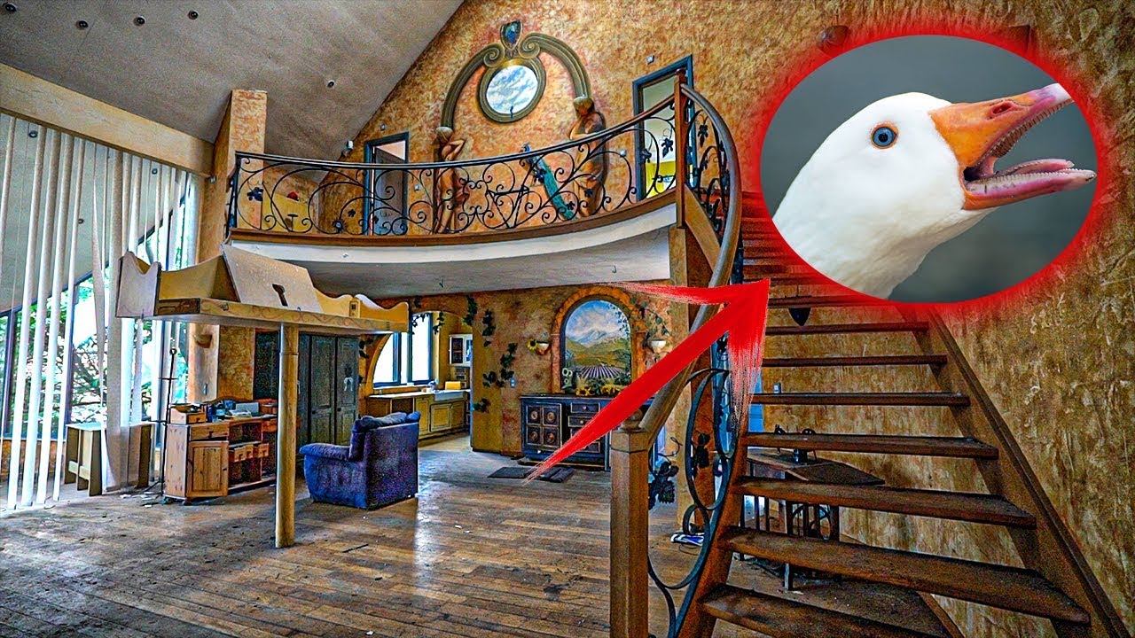 Angry goose guards million dollar abandoned house - watch out!