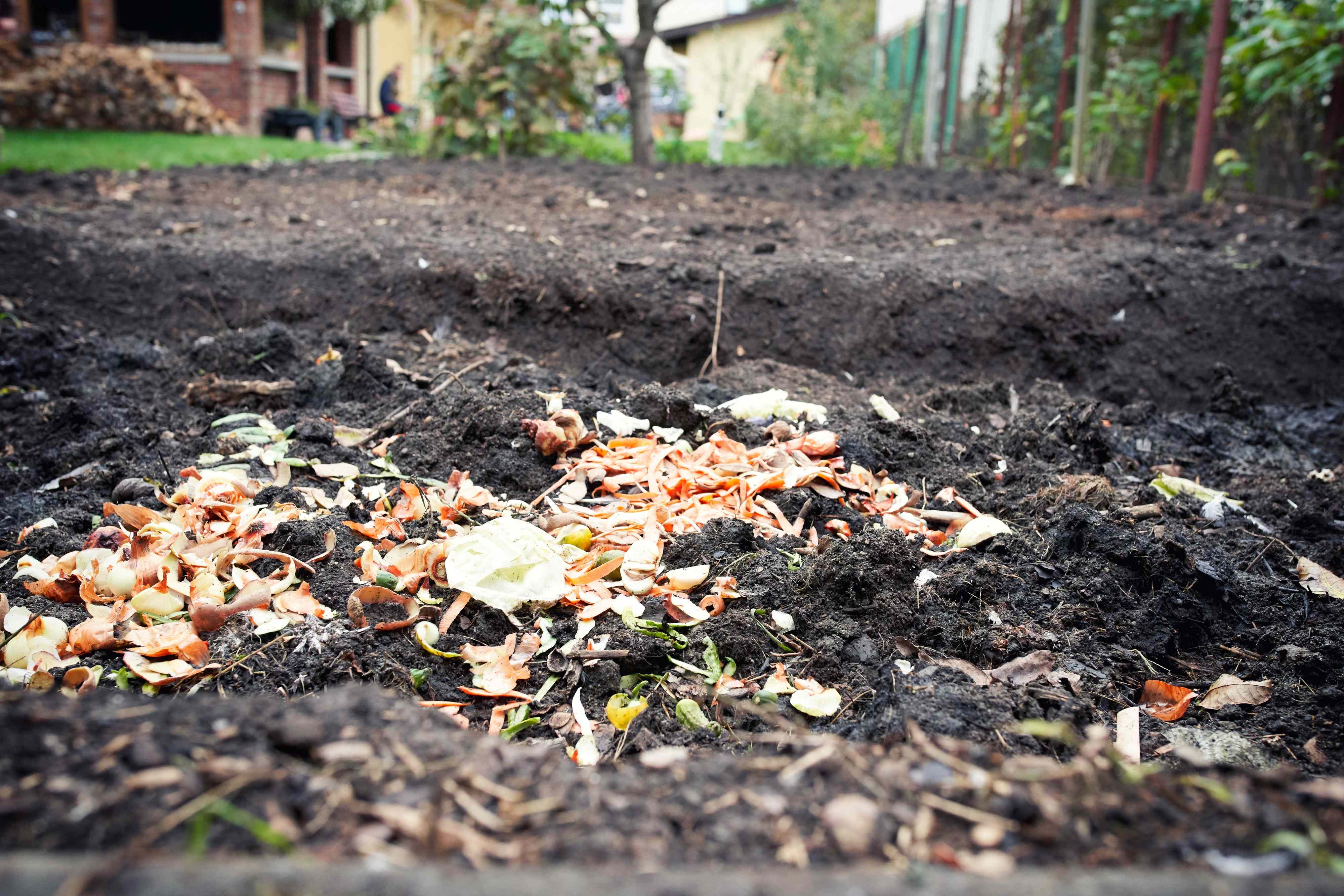 How to turn kitchen scraps into better garden soil without a compost bin