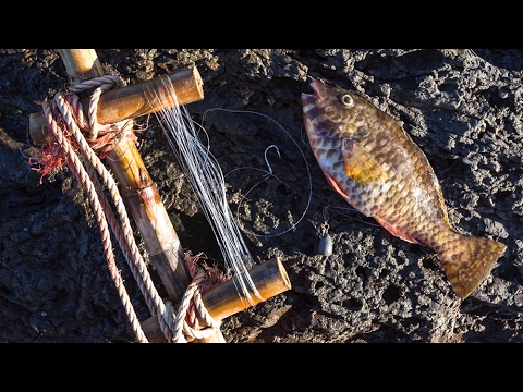 Solo island life: primitive fishing and rocky cliffs 🌊
