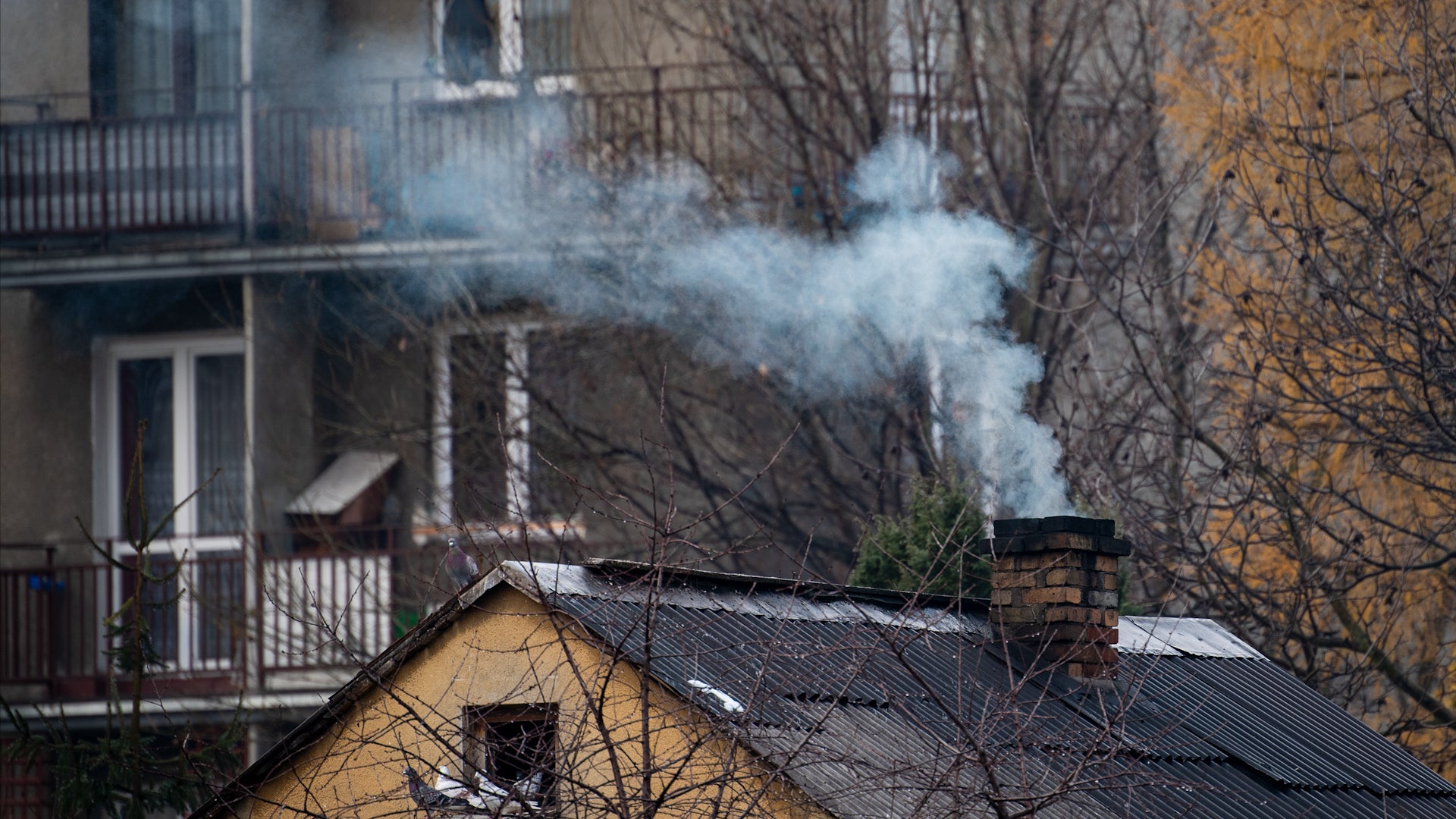 Why it smells so good when your neighbor lights their fireplace