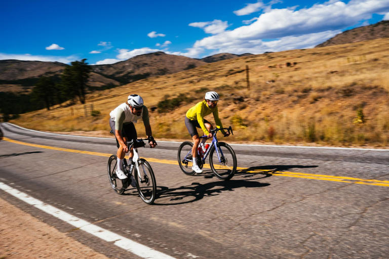 From $1,200 to dream-bike money: 12 road bikes our editors would ...
