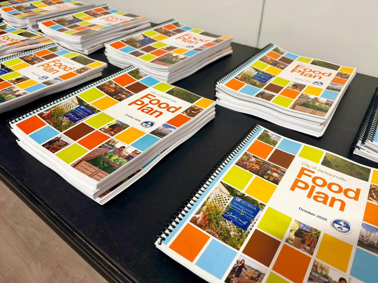 Jacksonville releases first comprehensive food plan to combat food ...