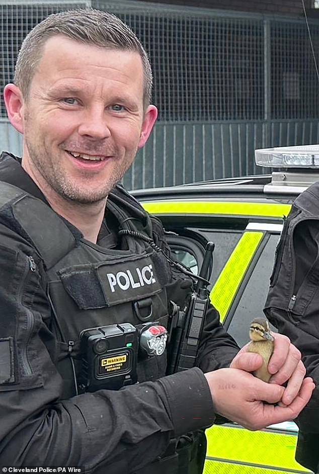 Police hunt father of teen killed in A66 crash after dodging court on ...