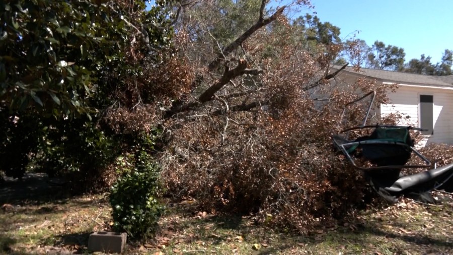 Houston County approves local emergency proclamation for recent storm ...