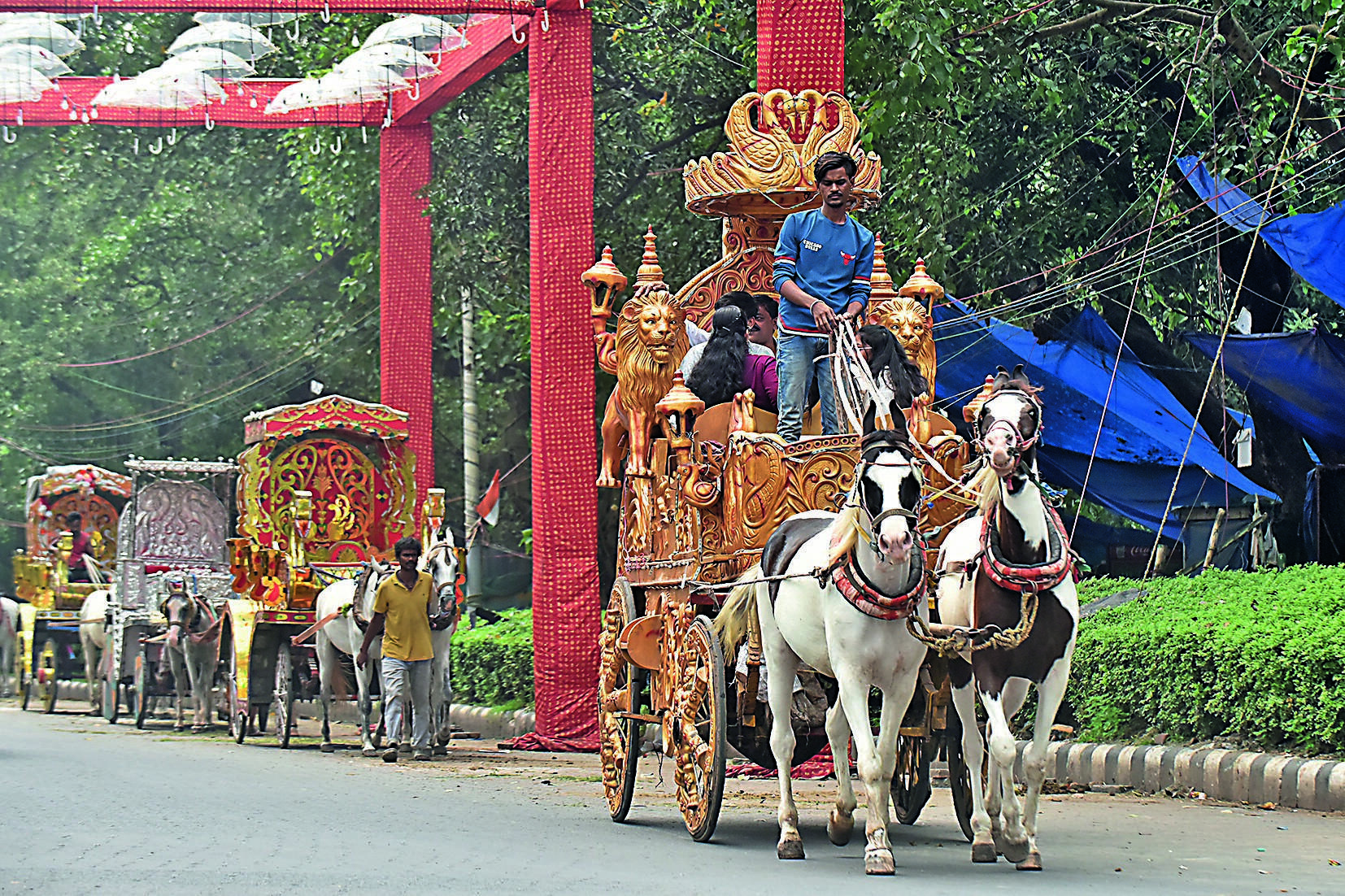 Spare horses from carriages in Kol fast: Ex-MP, bereaved father of New ...