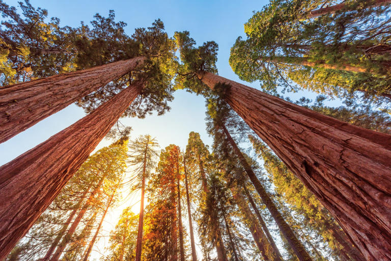 3 California national parks rank among nation's deadliest, report finds