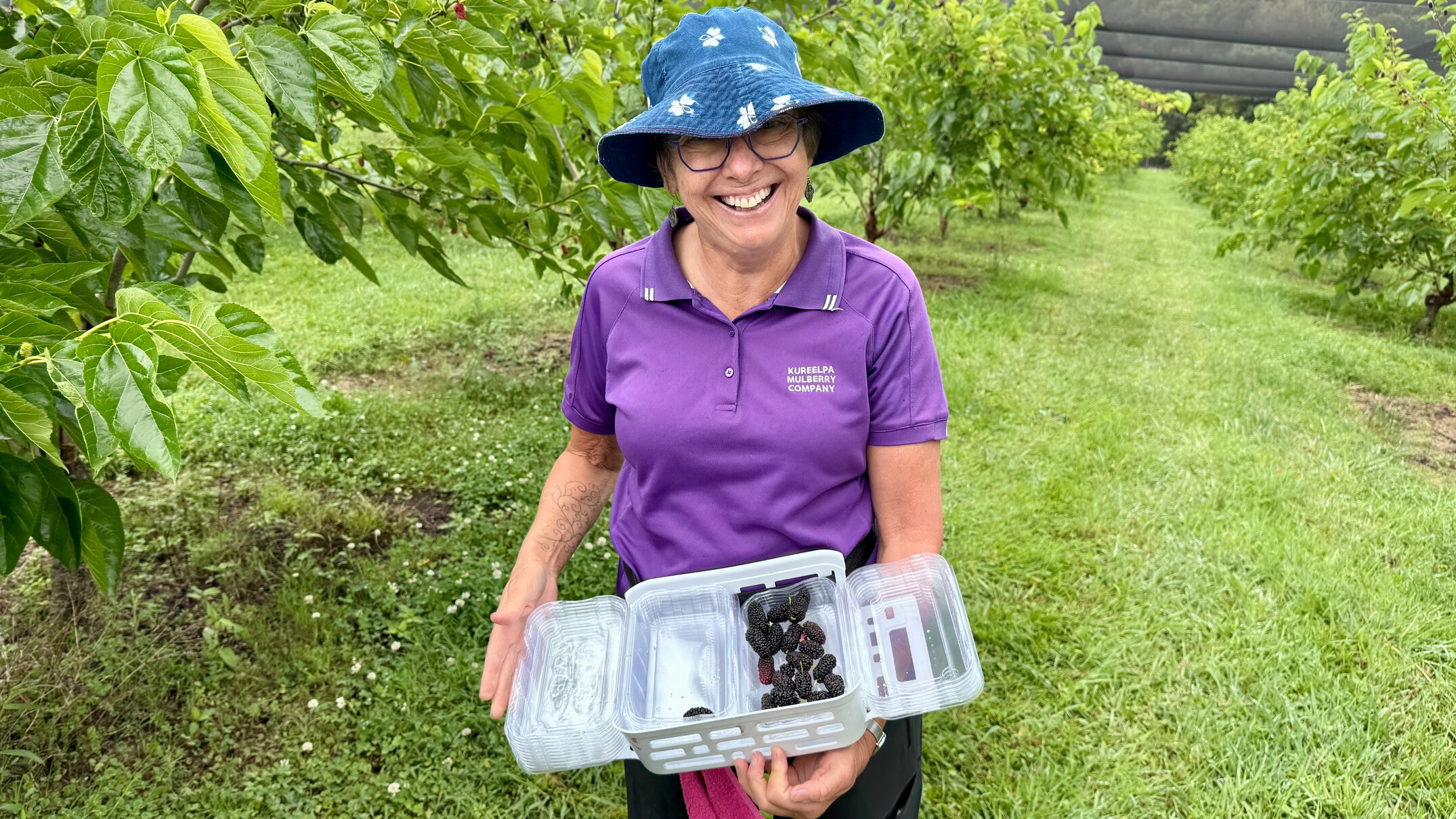 First-time farmer solves mulberry packing problem with dental drill