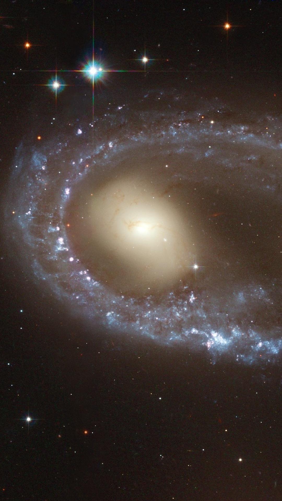 Vera Rubin discovered dark matter. She never got the Nobel