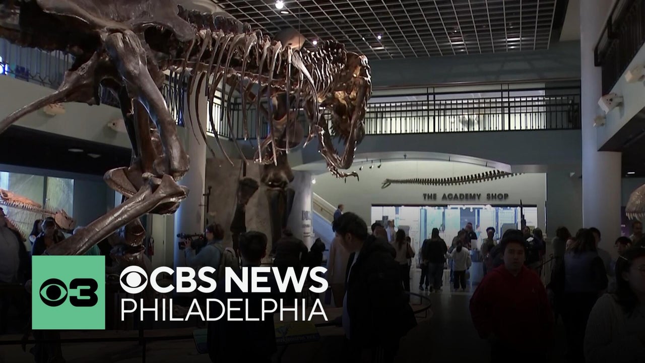 Philadelphia City Council investigating why Academy of Natural Sciences ...