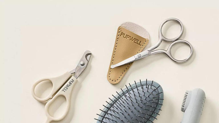 This suede puppy grooming kit makes at-home grooming look surprisingly chic