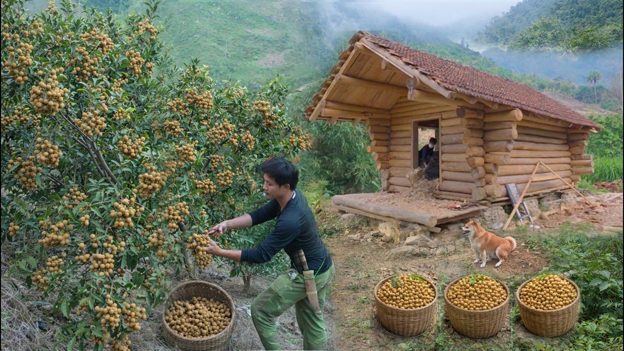 Planting peanuts and cooking in my log cabin
