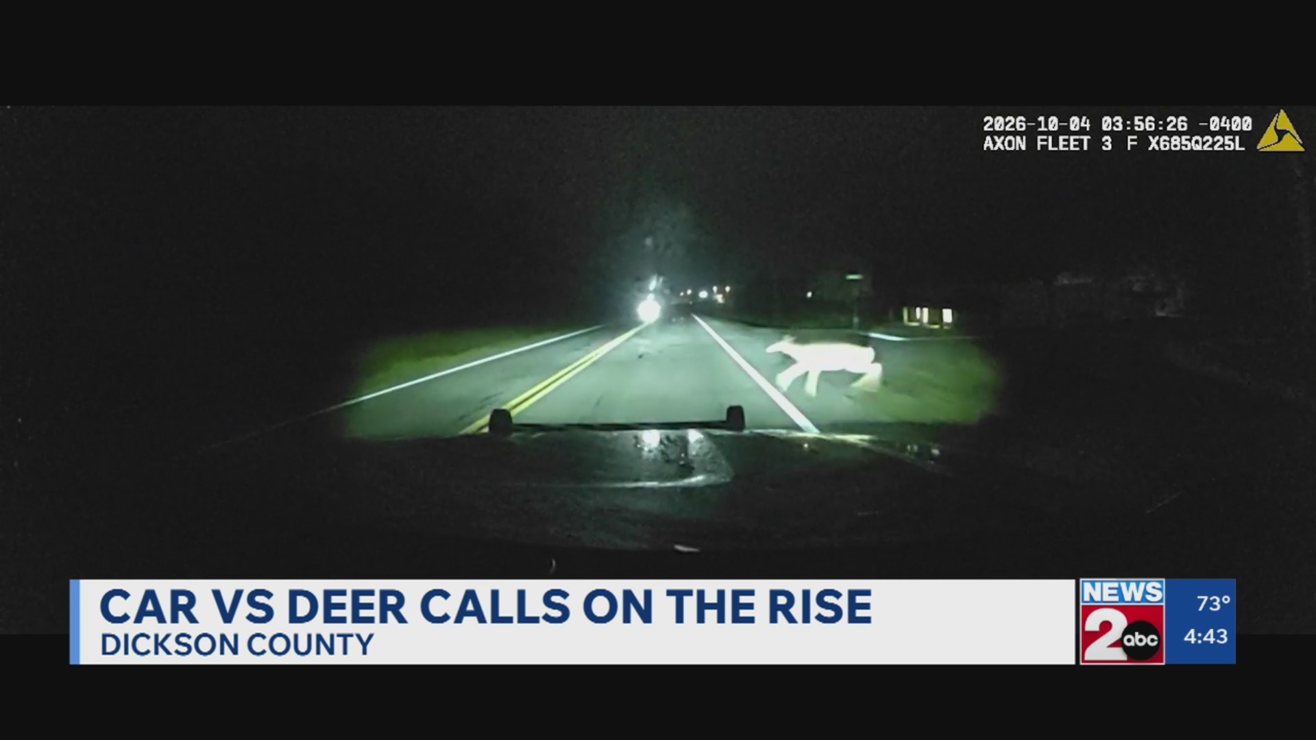 Car vs. deer calls on the rise in Dickson County