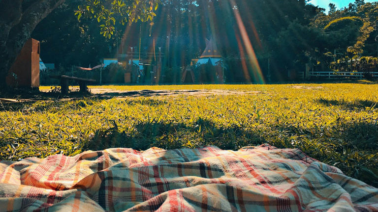 Why picnics are becoming less and less common