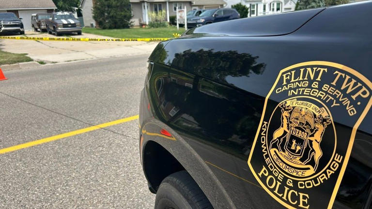 Flint Twp. police shoplifting task force blitz results in 15 arrests
