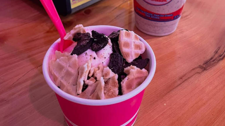 The hands down best frozen yogurt spot in every state