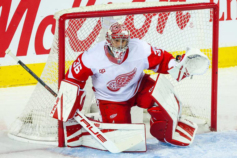 Red Wings' John Gibson faces uncomfortable reality as rookie gets the call