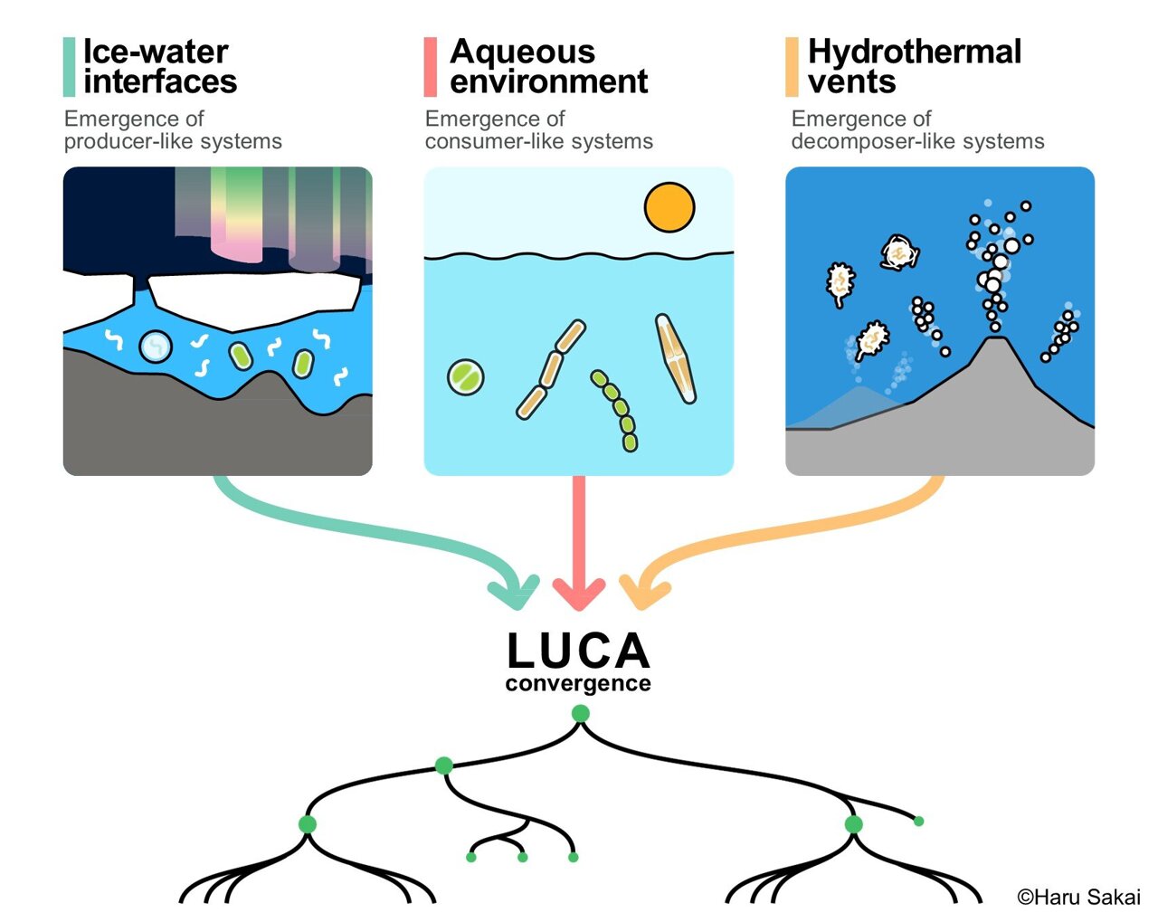 Could ecological roles offer clues to how life began?